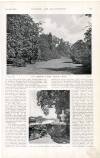 Country Life Saturday 22 December 1900 Page 41