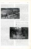 Country Life Saturday 29 December 1900 Page 25