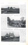Country Life Saturday 05 January 1901 Page 27