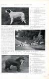 Country Life Saturday 26 January 1901 Page 25