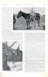 Country Life Saturday 26 January 1901 Page 39