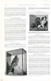 Country Life Saturday 20 April 1901 Page 52