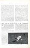 Country Life Saturday 18 May 1901 Page 37