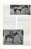 Country Life Saturday 01 June 1901 Page 122