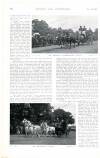 Country Life Saturday 08 June 1901 Page 28