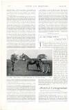 Country Life Saturday 08 June 1901 Page 60