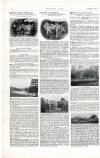 Country Life Saturday 27 July 1901 Page 16