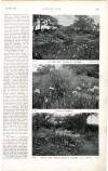 Country Life Saturday 27 July 1901 Page 27