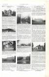 Country Life Saturday 02 November 1901 Page 11