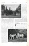 Country Life Saturday 02 November 1901 Page 43