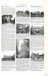 Country Life Saturday 09 November 1901 Page 13