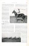 Country Life Saturday 09 November 1901 Page 51