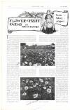 Country Life Saturday 09 November 1901 Page 64