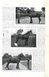 Country Life Saturday 30 November 1901 Page 27