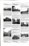Country Life Saturday 01 March 1902 Page 6