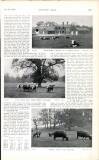 Country Life Saturday 21 June 1902 Page 43