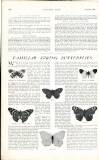 Country Life Saturday 28 June 1902 Page 42