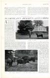 Country Life Saturday 02 August 1902 Page 35