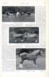 Country Life Saturday 09 August 1902 Page 51