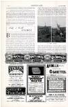 Country Life Saturday 06 September 1902 Page 66