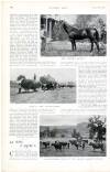 Country Life Saturday 13 September 1902 Page 41