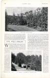 Country Life Saturday 20 September 1902 Page 48