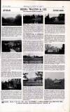 Country Life Saturday 29 November 1902 Page 13