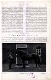 Country Life Saturday 20 December 1902 Page 49