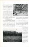 Country Life Saturday 31 January 1903 Page 60
