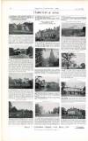 Country Life Saturday 07 February 1903 Page 8