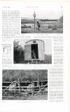 Country Life Saturday 07 February 1903 Page 33