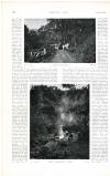 Country Life Saturday 07 February 1903 Page 36