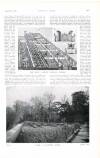 Country Life Saturday 14 March 1903 Page 41