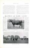 Country Life Saturday 21 March 1903 Page 42