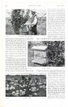 Country Life Saturday 11 July 1903 Page 62