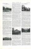 Country Life Saturday 18 July 1903 Page 20