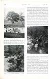 Country Life Saturday 25 July 1903 Page 60