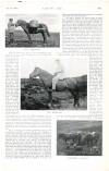 Country Life Saturday 01 August 1903 Page 71