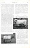 Country Life Saturday 01 August 1903 Page 77