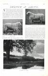 Country Life Saturday 05 September 1903 Page 43