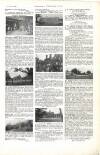 Country Life Saturday 03 October 1903 Page 11