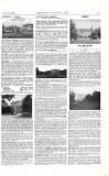 Country Life Saturday 31 October 1903 Page 17