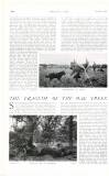 Country Life Saturday 31 October 1903 Page 40