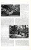 Country Life Saturday 31 October 1903 Page 41