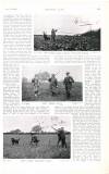 Country Life Saturday 07 November 1903 Page 69