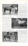 Country Life Saturday 07 November 1903 Page 90