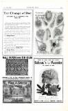 Country Life Saturday 14 November 1903 Page 65