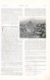 Country Life Saturday 28 November 1903 Page 35