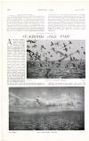 Country Life Saturday 05 December 1903 Page 88