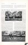 Country Life Saturday 02 January 1904 Page 39